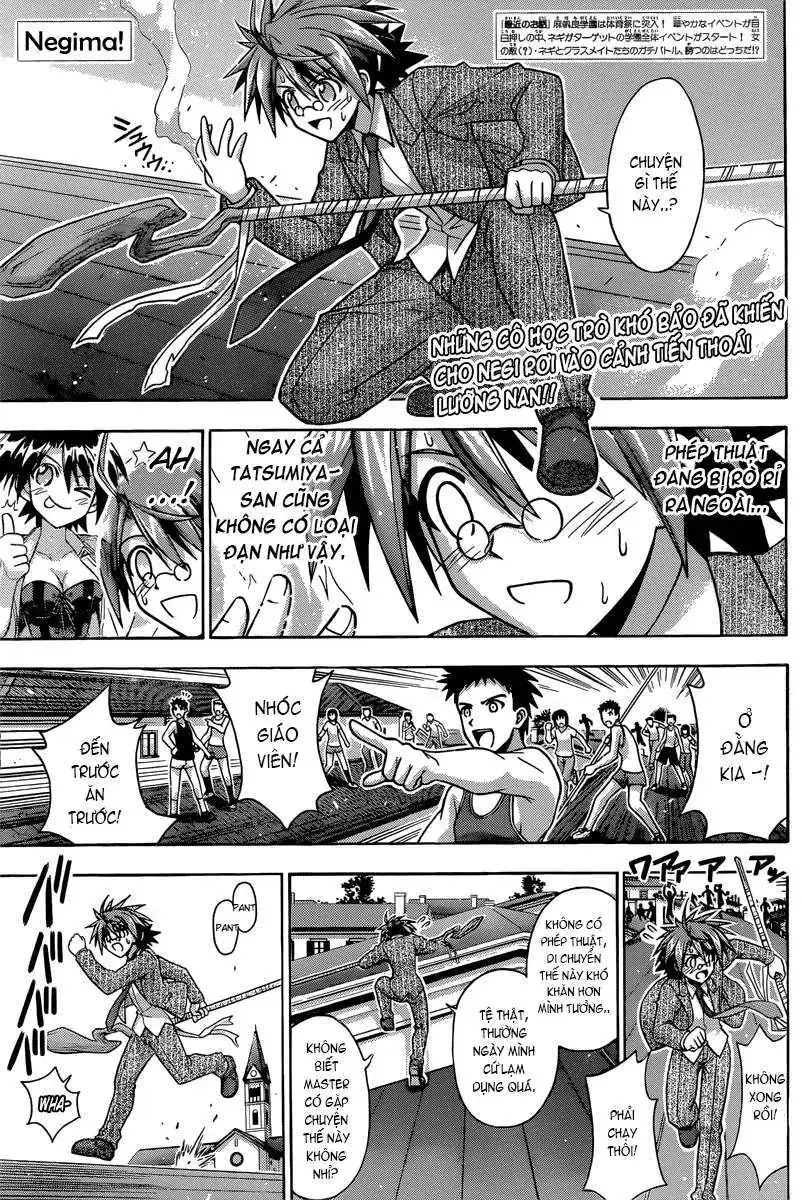mahou sensei negima! Chapter 346 - Trang 4