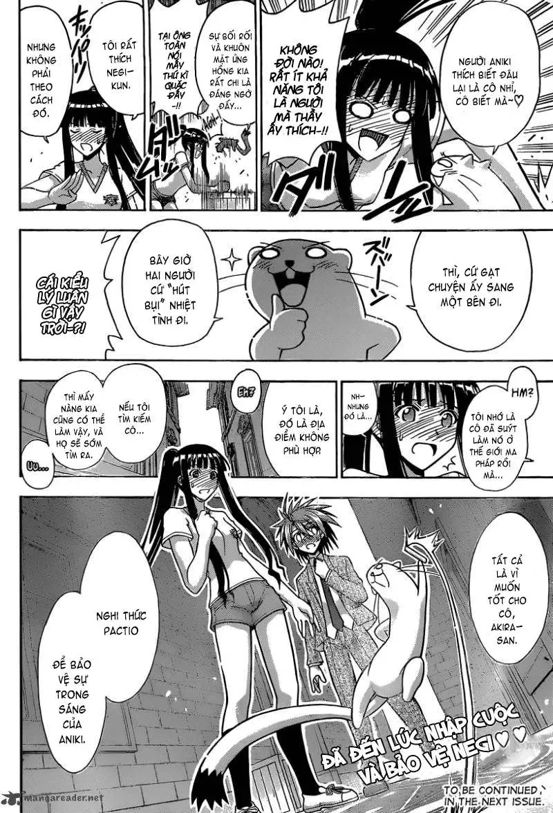 mahou sensei negima! Chapter 348 - Trang 19