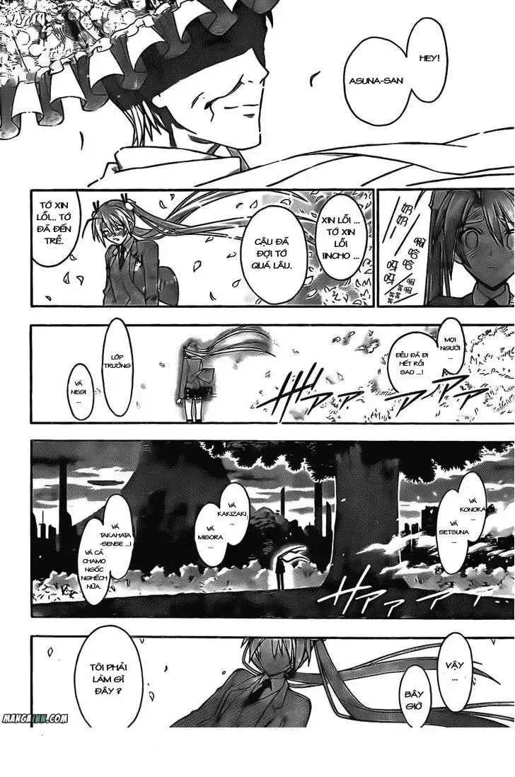 mahou sensei negima! Chapter 352 - Trang 19