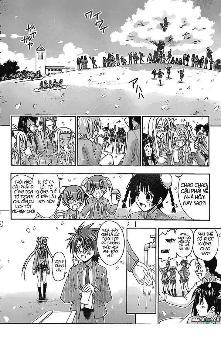 mahou sensei negima! Chapter 353 - Trang 14