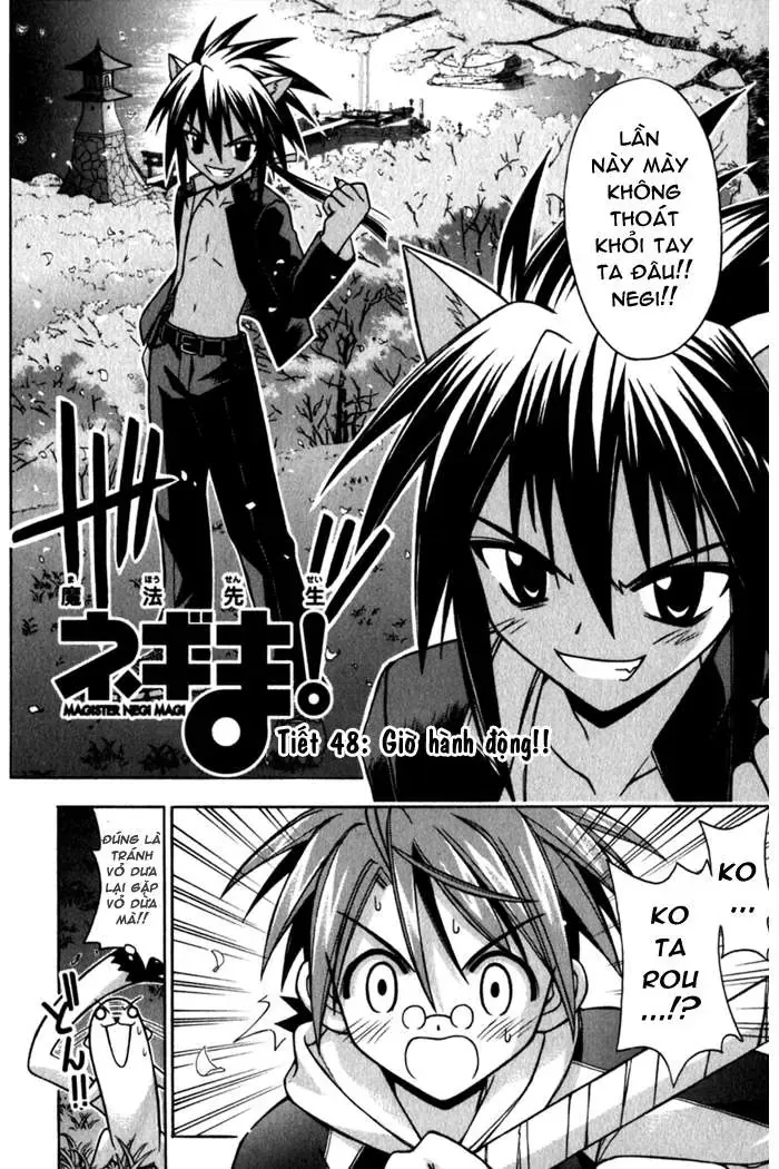 mahou sensei negima! Chapter 48 - Trang 4