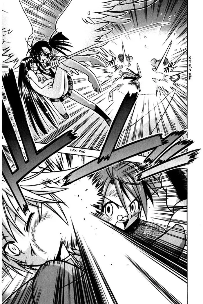mahou sensei negima! Chapter 51 - Trang 11