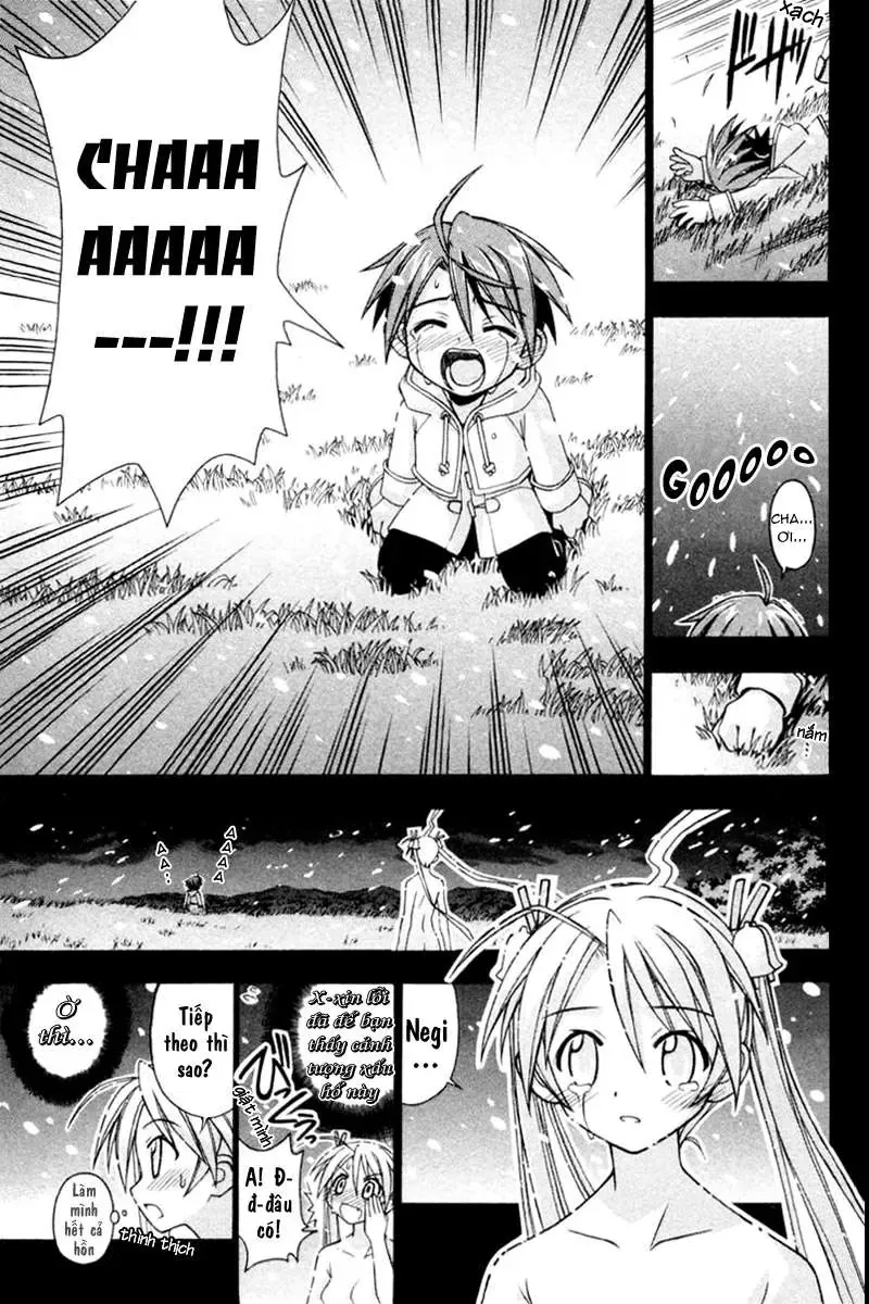 Mahou Sensei Negima Chapter 66 - Trang 14