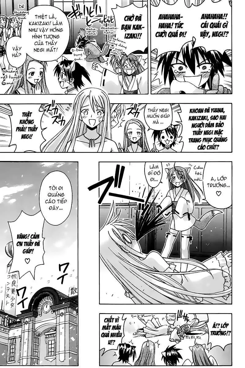 Mahou Sensei Negima Chapter 90 - Trang 15