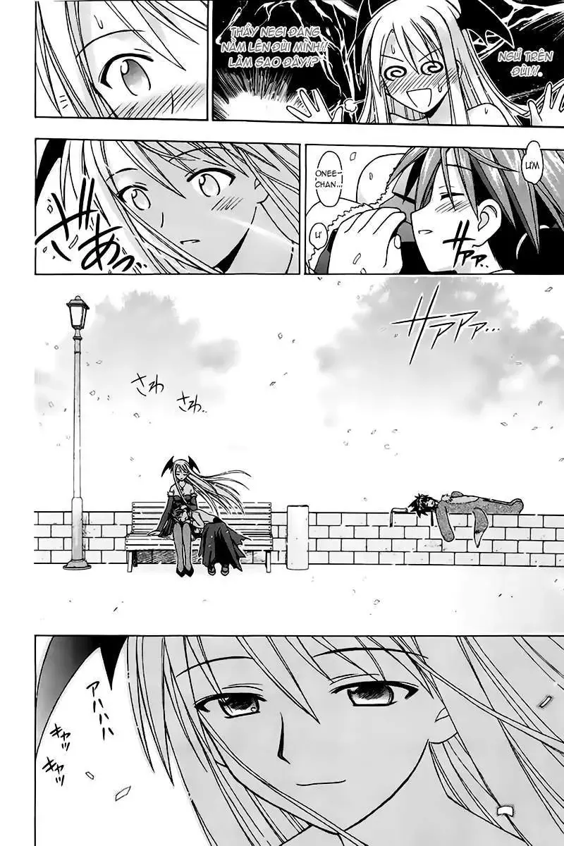 Mahou Sensei Negima Chapter 90 - Trang 22