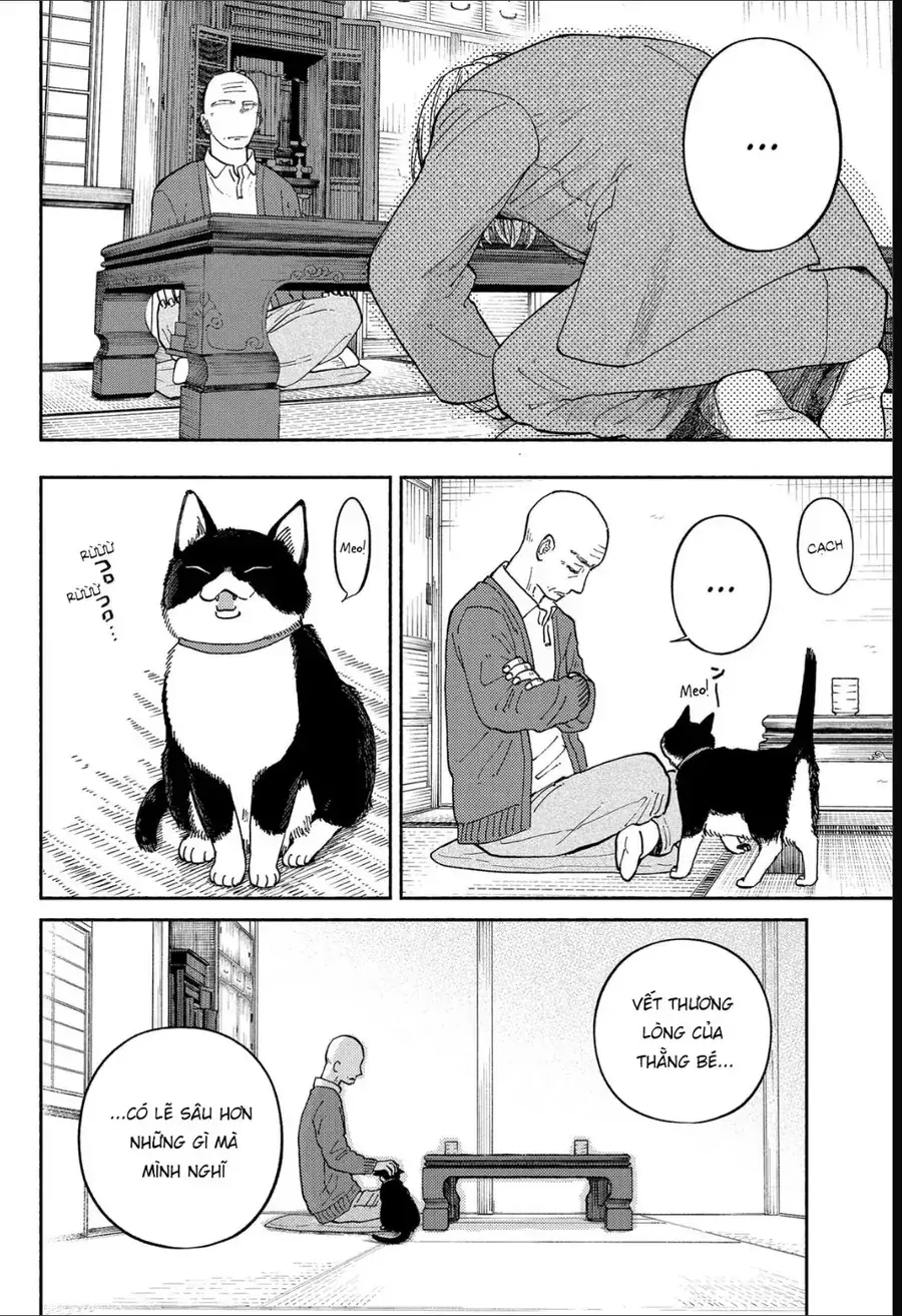 Mái Ấm Phía Chân Trời Chapter 20 - Trang 7