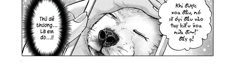 Mankitsu Shitai Jouren-San Chapter 40 - Trang 14