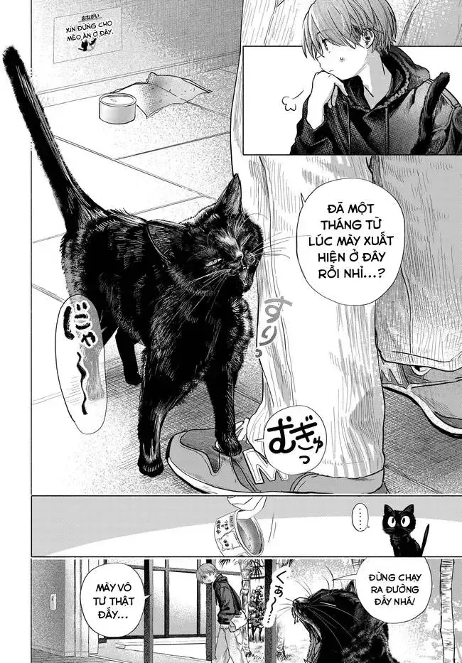 Mankitsu Shitai Jouren-San Chapter 50 - Trang 4