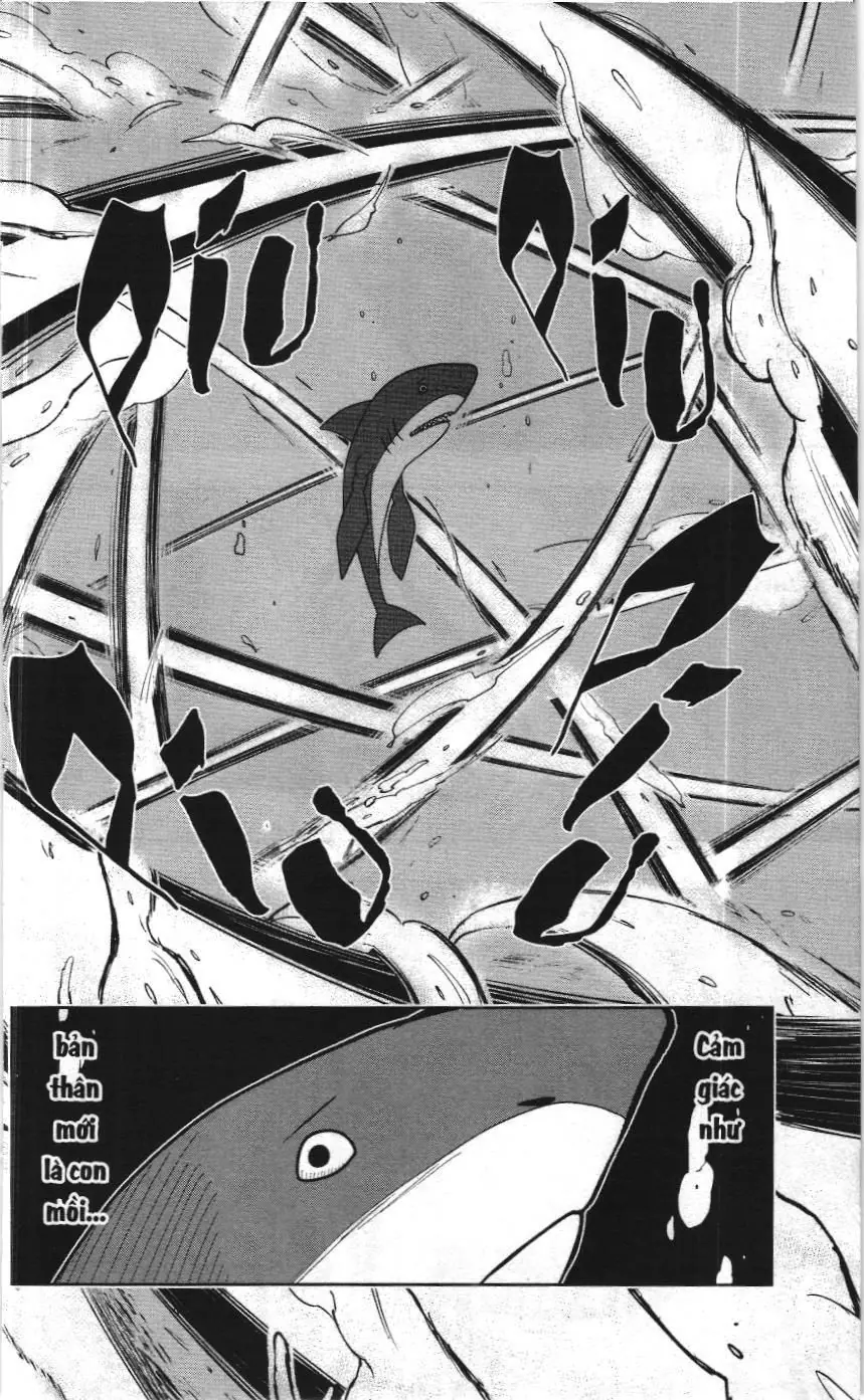 Mashle (Nxb Kim Đồng) Chapter 20 - Trang 6