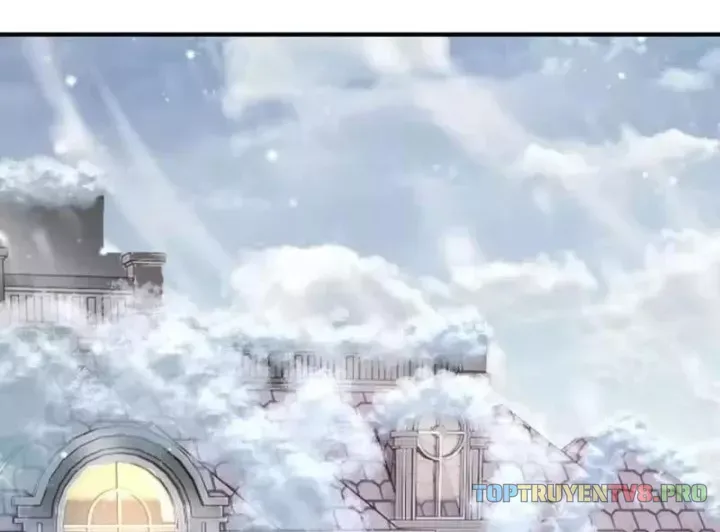 Mạt Thế Hàn Băng: Ta Tích Trữ Trăm Tỷ Vật Tư Chapter 51 - Trang 4