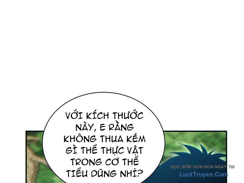 Mạt Thế Trùng Sinh: Ta Dựa Vào Mở Rương Vấn đỉnh đỉnh Phong Chapter 70 - Trang 6