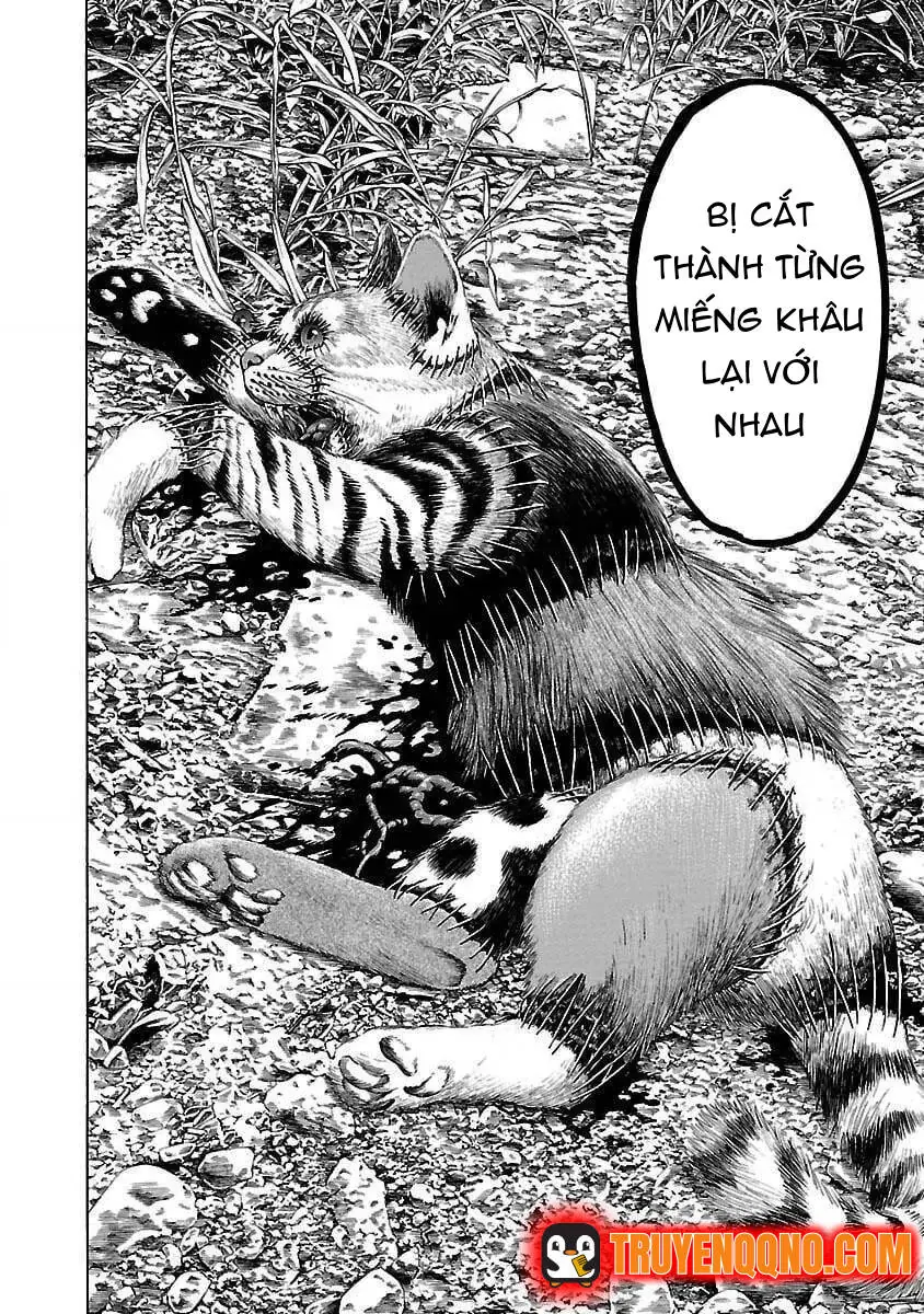 Mặt Tối Của Ayako Chapter 1 - Trang 19