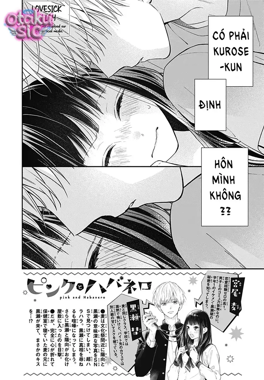 Màu Hồng Và Ớt Habanero Chapter 34 - Trang 4