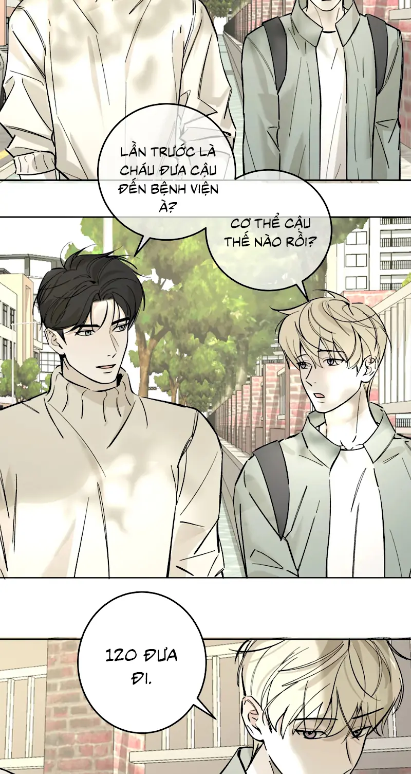 MÂY TRÔI VÀ CẶN BÃ Chapter 12 - Trang 23