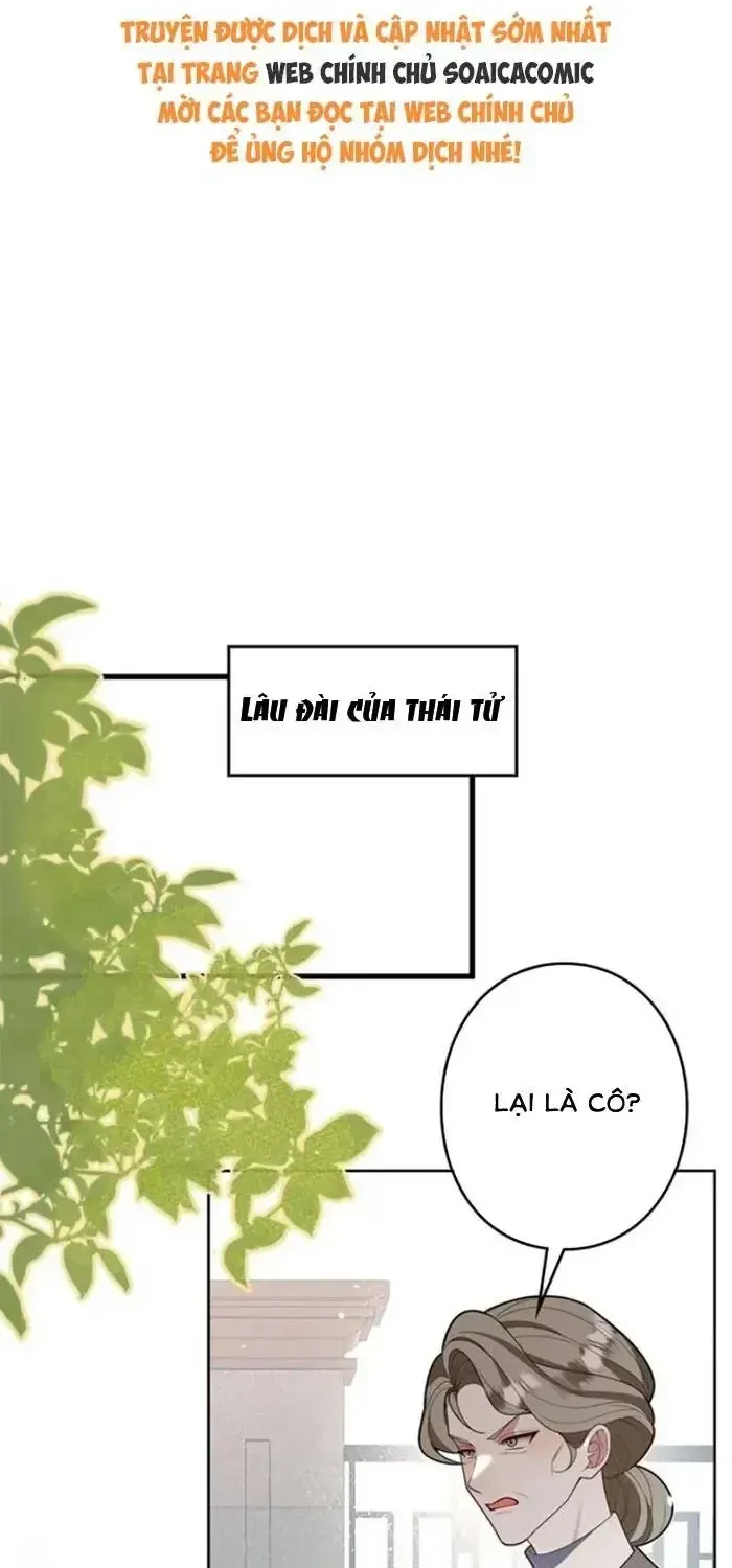 Mẹ Đơn Thân Và Nổi Ám Ảnh Của Thái Tử Chapter 19 - Trang 3