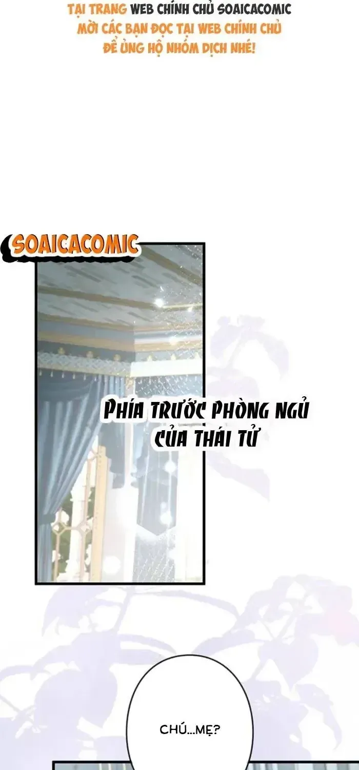 Mẹ Đơn Thân Và Nổi Ám Ảnh Của Thái Tử Chapter 30 - Trang 3