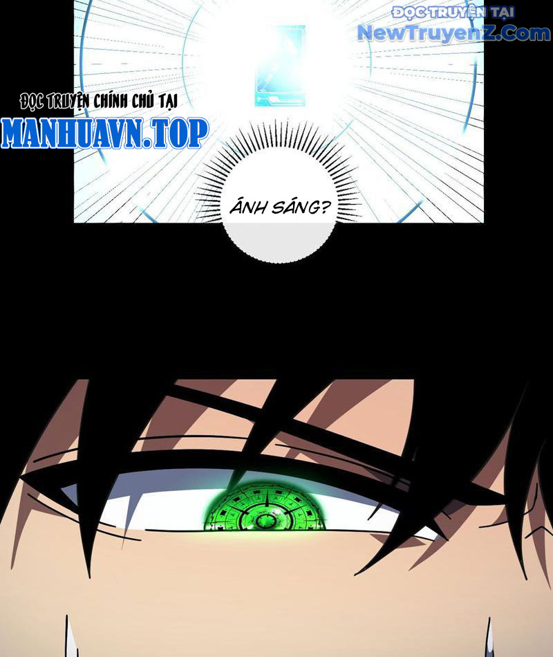 Mệnh Luân Chi Chủ! Làm Kẻ Biến Dị Giáng Xuống Nhân Gian Chapter 114 - Trang 13