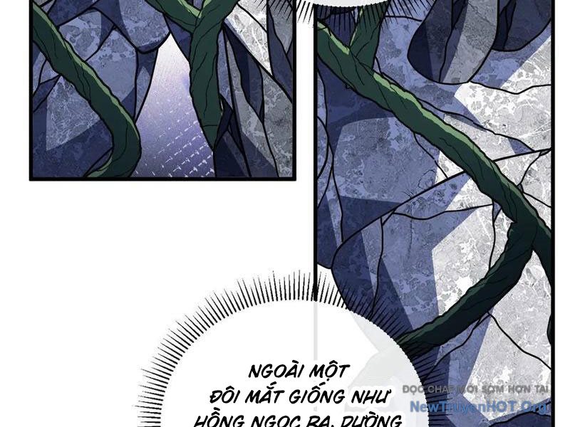 Mệnh Luân Chi Chủ! Làm Kẻ Biến Dị Giáng Xuống Nhân Gian Chapter 151 - Trang 30
