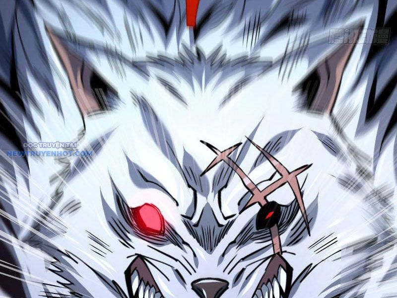 Mệnh Luân Chi Chủ! Làm Kẻ Biến Dị Giáng Xuống Nhân Gian Chapter 16 - Trang 15