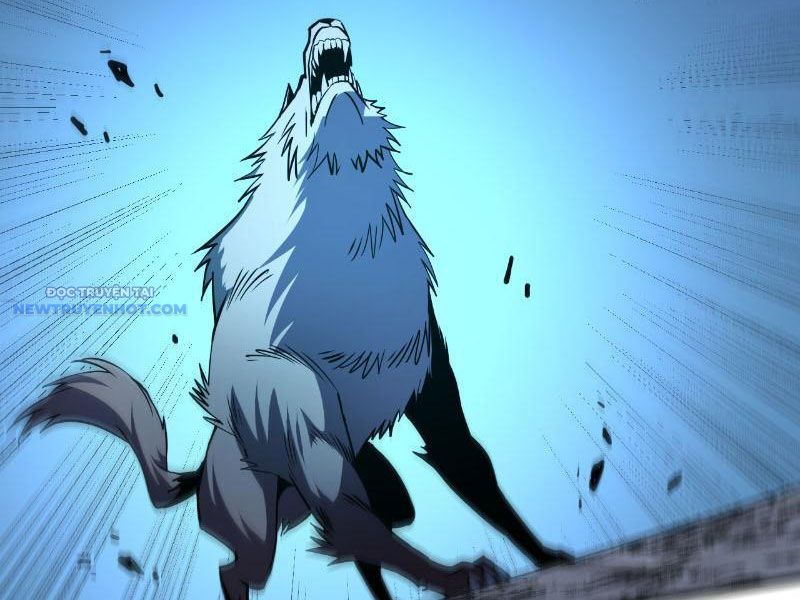 Mệnh Luân Chi Chủ! Làm Kẻ Biến Dị Giáng Xuống Nhân Gian Chapter 16 - Trang 6