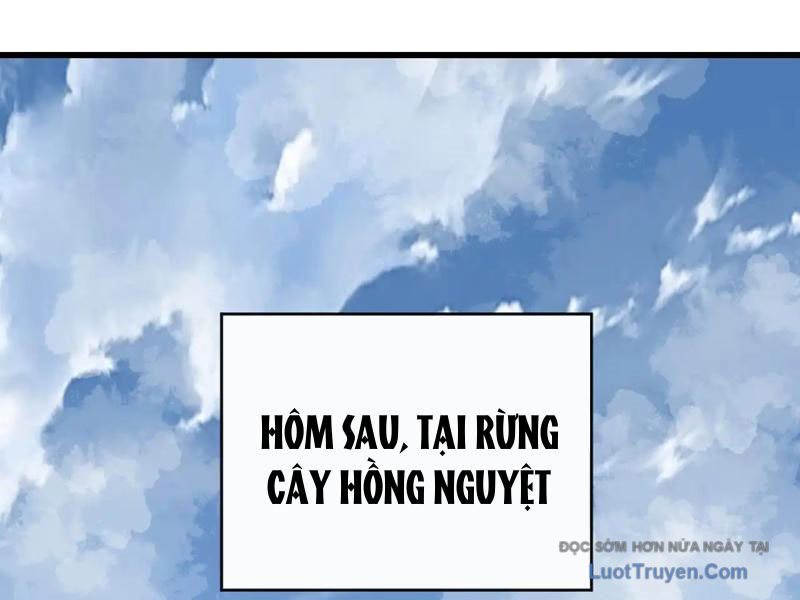 Mệnh Luân Chi Chủ! Làm Kẻ Biến Dị Giáng Xuống Nhân Gian Chapter 174 - Trang 4