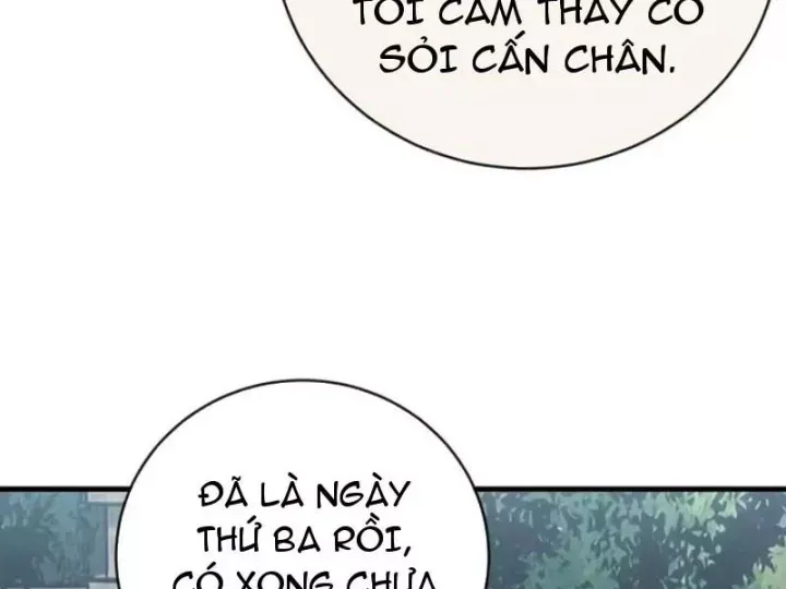 Mệnh Luân Chi Chủ! Làm Kẻ Biến Dị Giáng Xuống Nhân Gian Chapter 222 - Trang 13