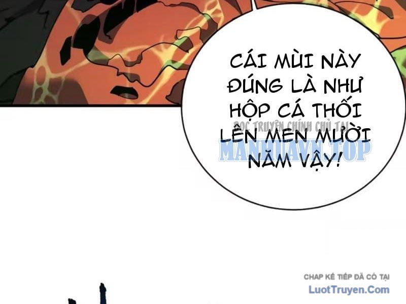 Mệnh Luân Chi Chủ! Làm Kẻ Biến Dị Giáng Xuống Nhân Gian Chapter 226 - Trang 15