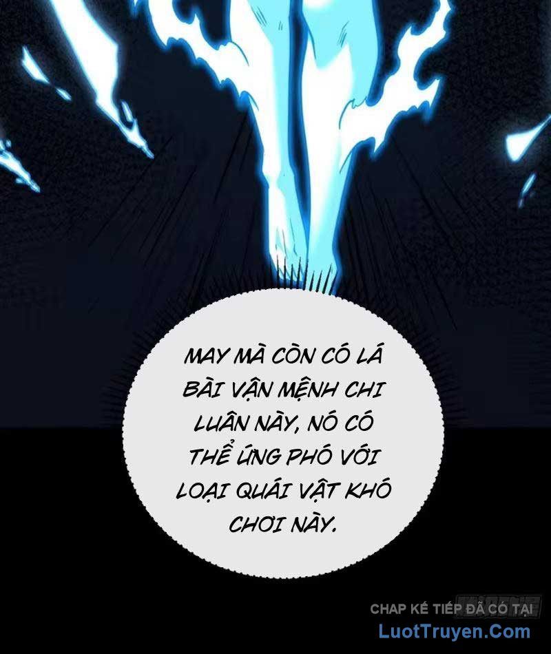 Mệnh Luân Chi Chủ! Làm Kẻ Biến Dị Giáng Xuống Nhân Gian Chapter 228 - Trang 23