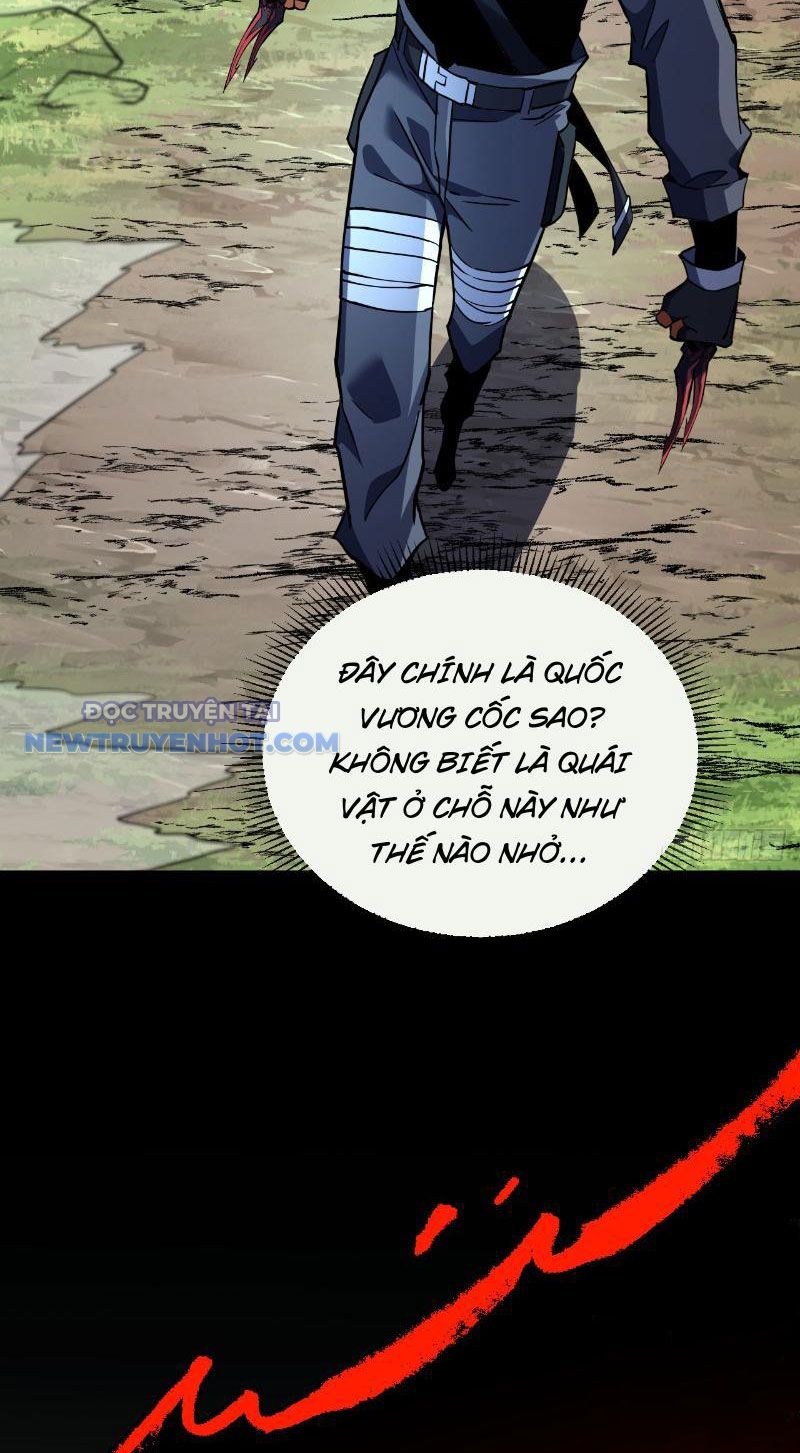 Mệnh Luân Chi Chủ! Làm Kẻ Biến Dị Giáng Xuống Nhân Gian Chapter 23 - Trang 19