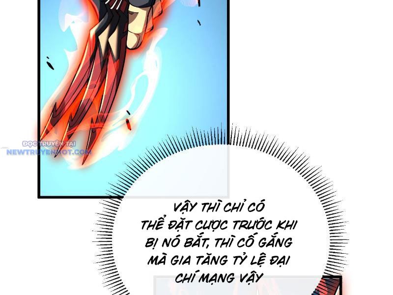 Mệnh Luân Chi Chủ! Làm Kẻ Biến Dị Giáng Xuống Nhân Gian Chapter 24 - Trang 49