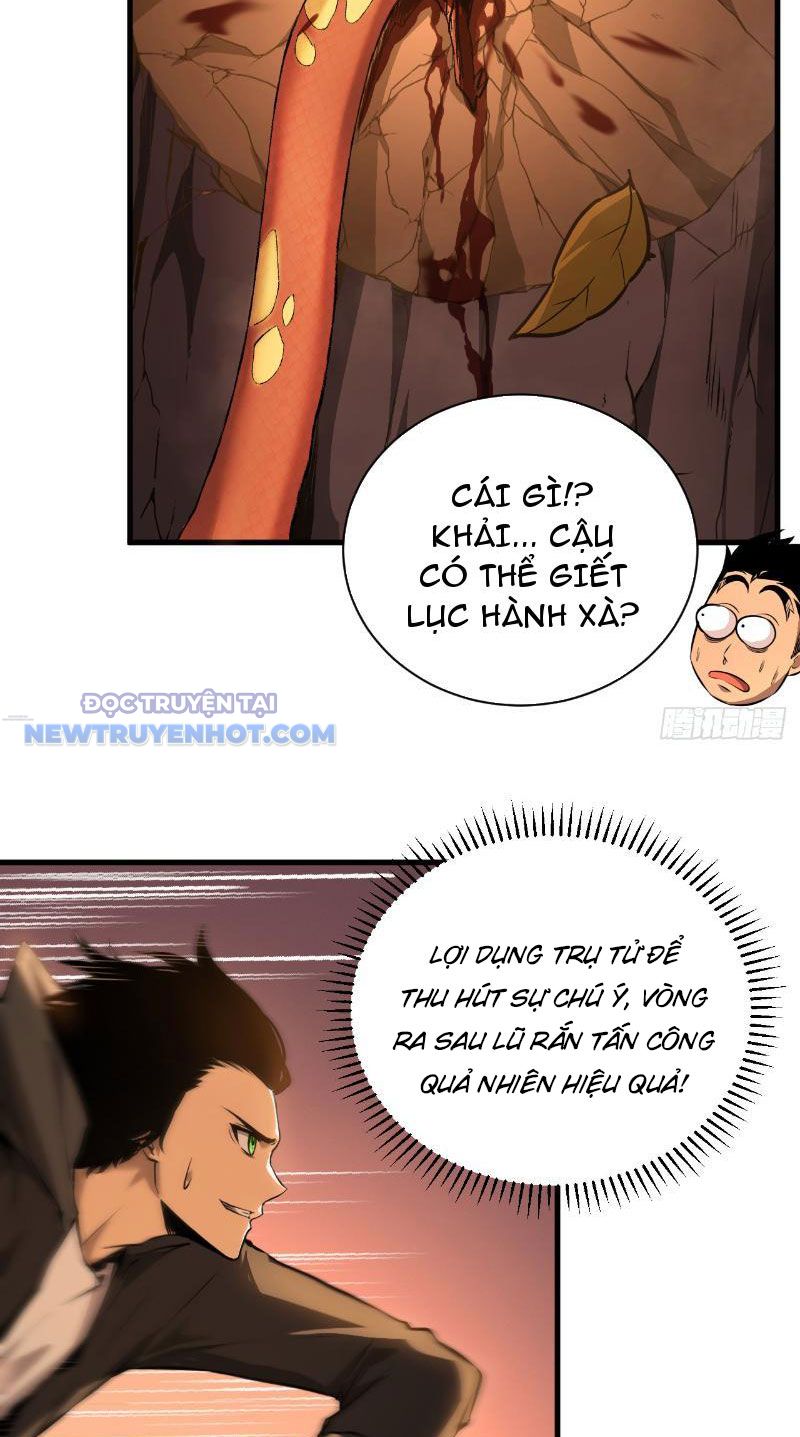 Mệnh Luân Chi Chủ! Làm Kẻ Biến Dị Giáng Xuống Nhân Gian Chapter 3 - Trang 12
