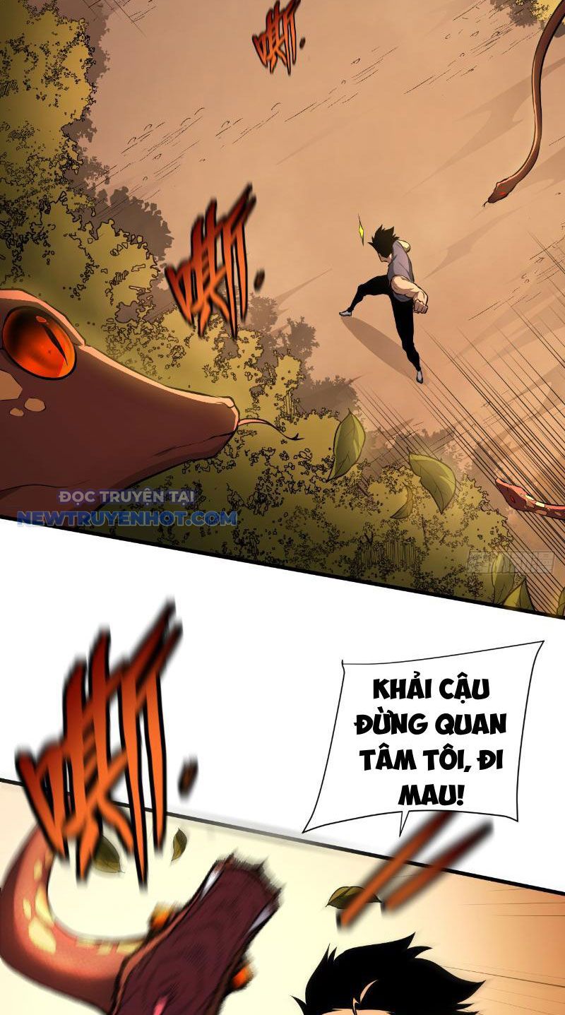 Mệnh Luân Chi Chủ! Làm Kẻ Biến Dị Giáng Xuống Nhân Gian Chapter 3 - Trang 6