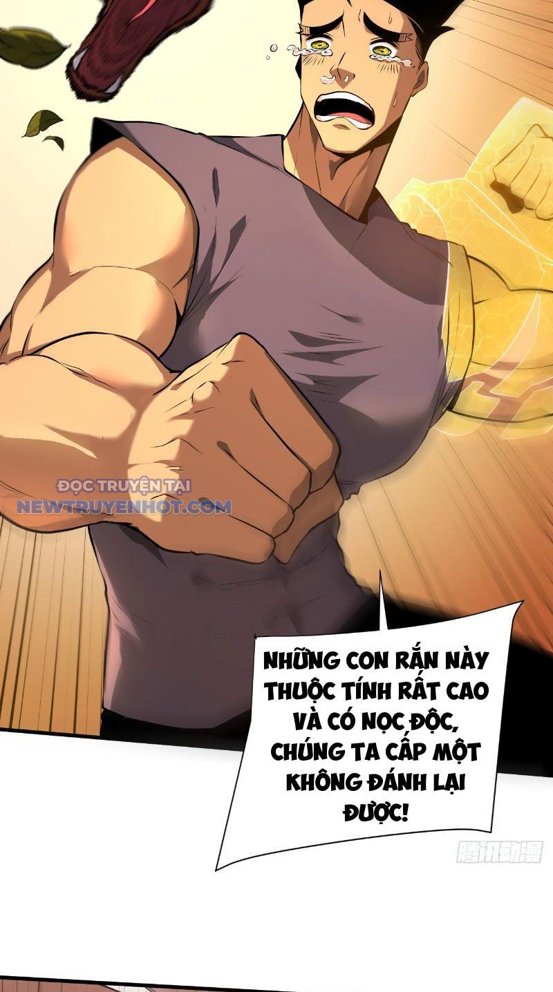 Mệnh Luân Chi Chủ! Làm Kẻ Biến Dị Giáng Xuống Nhân Gian Chapter 3 - Trang 7