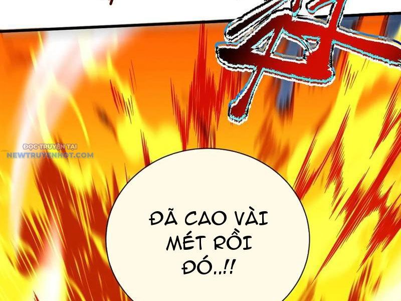 Mệnh Luân Chi Chủ! Làm Kẻ Biến Dị Giáng Xuống Nhân Gian Chapter 46 - Trang 12