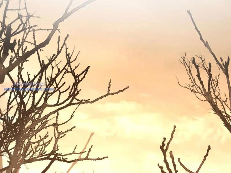 Mệnh Luân Chi Chủ! Làm Kẻ Biến Dị Giáng Xuống Nhân Gian Chapter 70 - Trang 38