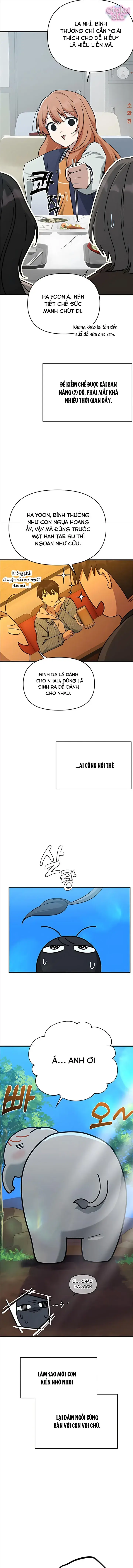 Mia Đã Trở Lại Chapter 17 - Trang 5