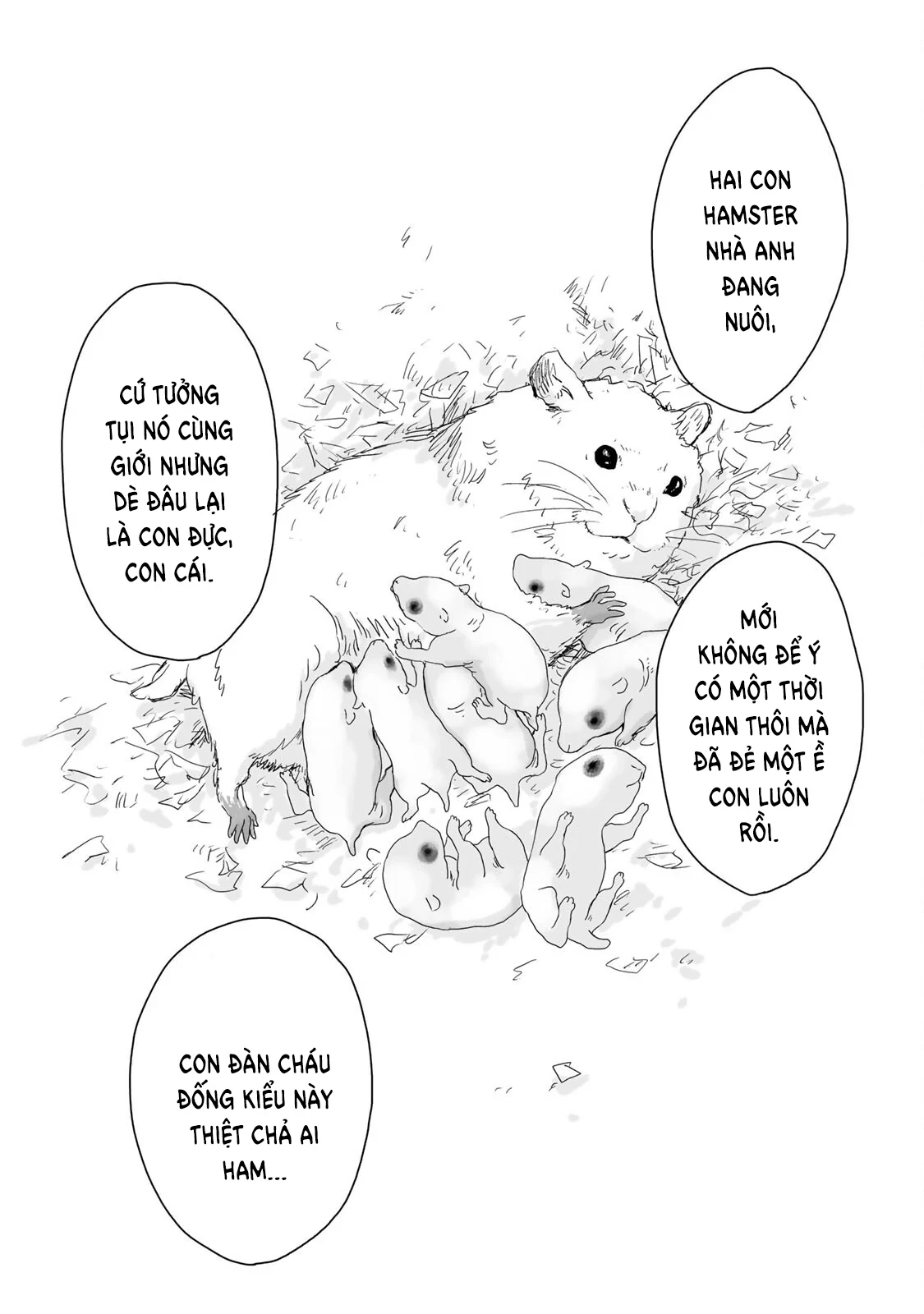 Mii-chan và Yamada-san Chapter 6 - Trang 5