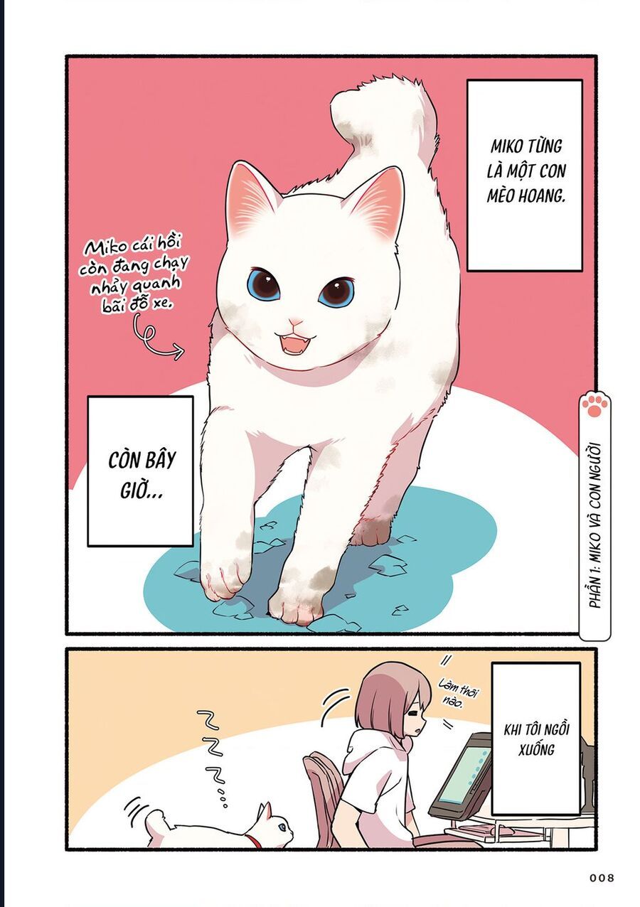Miko, Cô Mèo Trắng Muốn Được Yêu Thương Chapter 1 - Trang 3