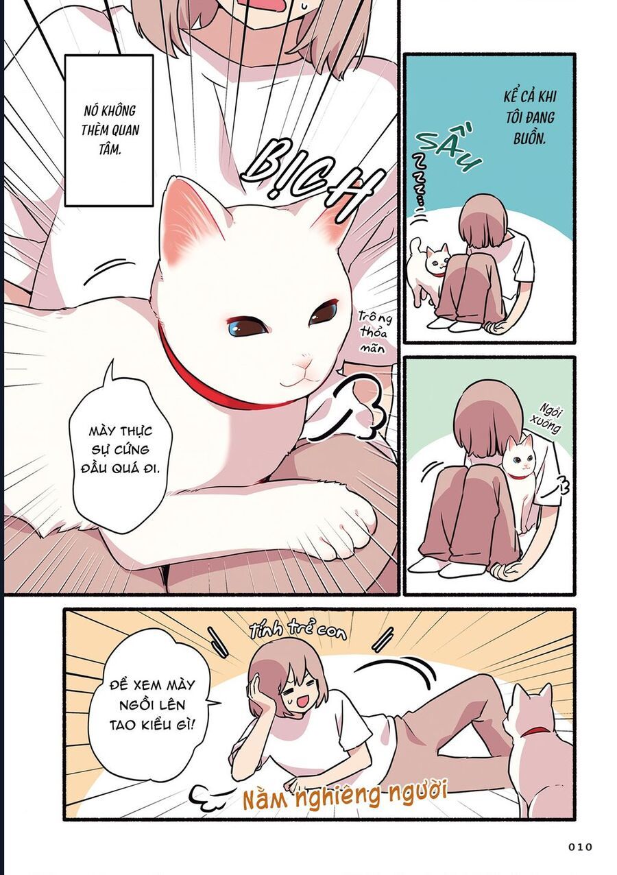 Miko, Cô Mèo Trắng Muốn Được Yêu Thương Chapter 1 - Trang 5