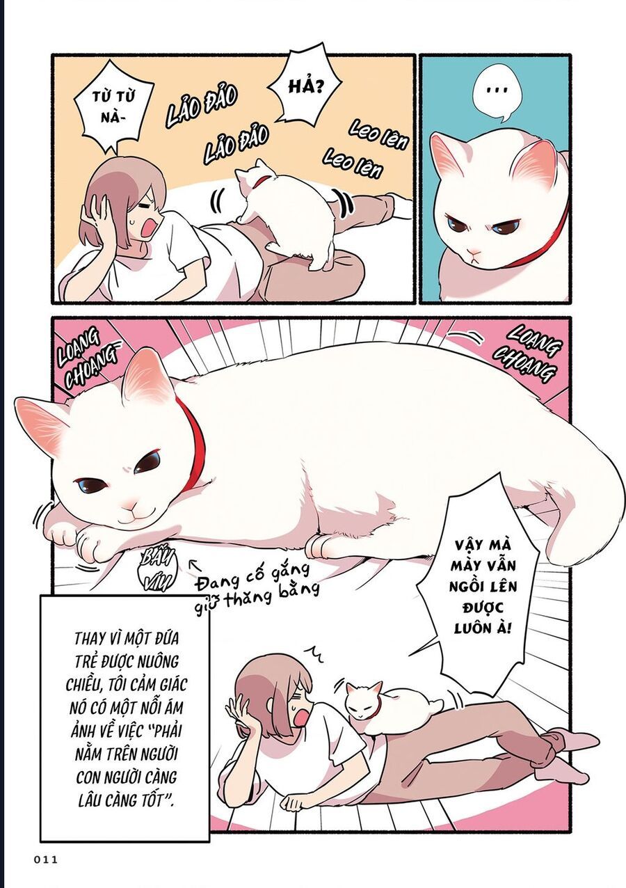 Miko, Cô Mèo Trắng Muốn Được Yêu Thương Chapter 1 - Trang 6