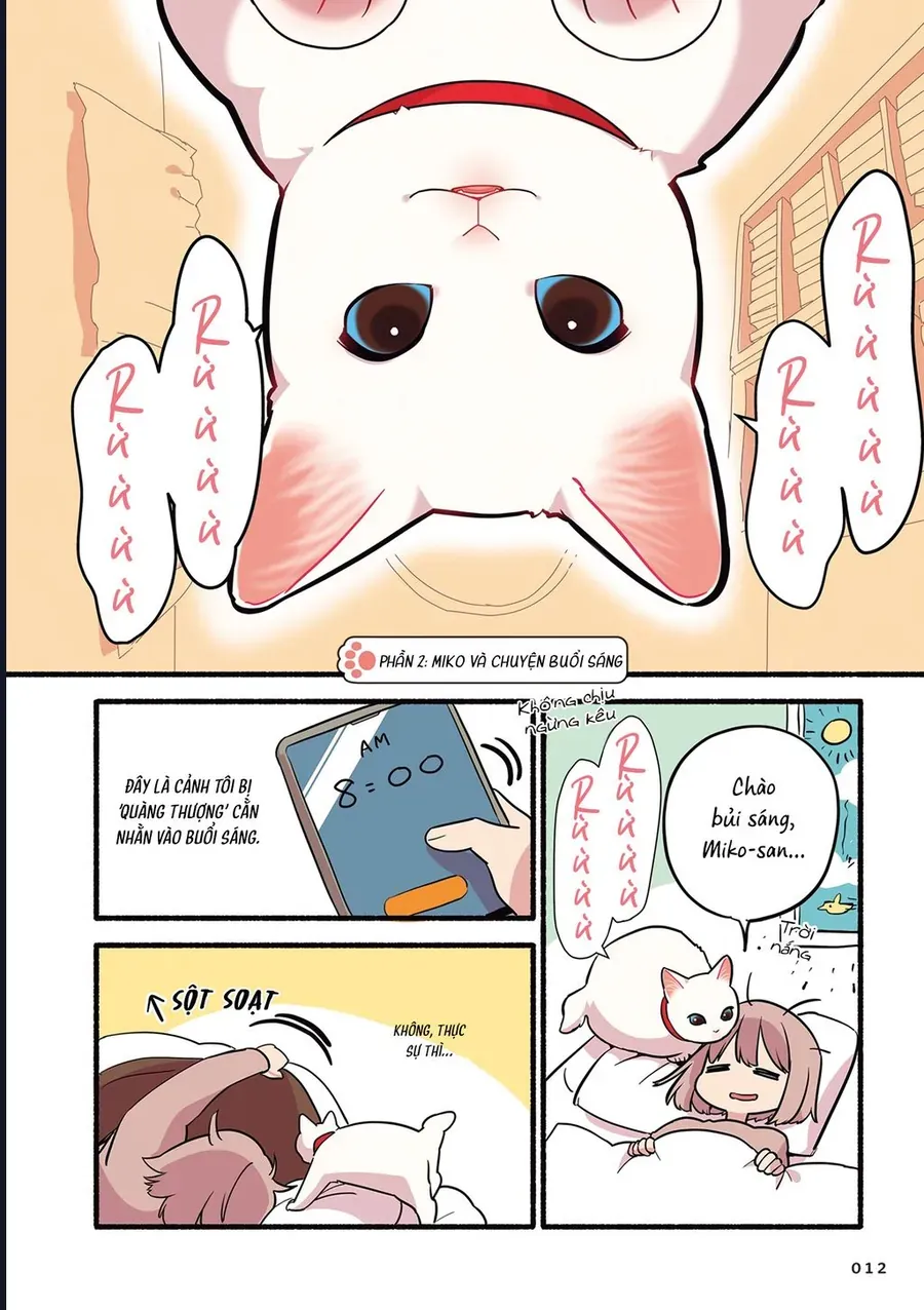 Miko, Cô Mèo Trắng Muốn Được Yêu Thương Chapter 2 - Trang 3