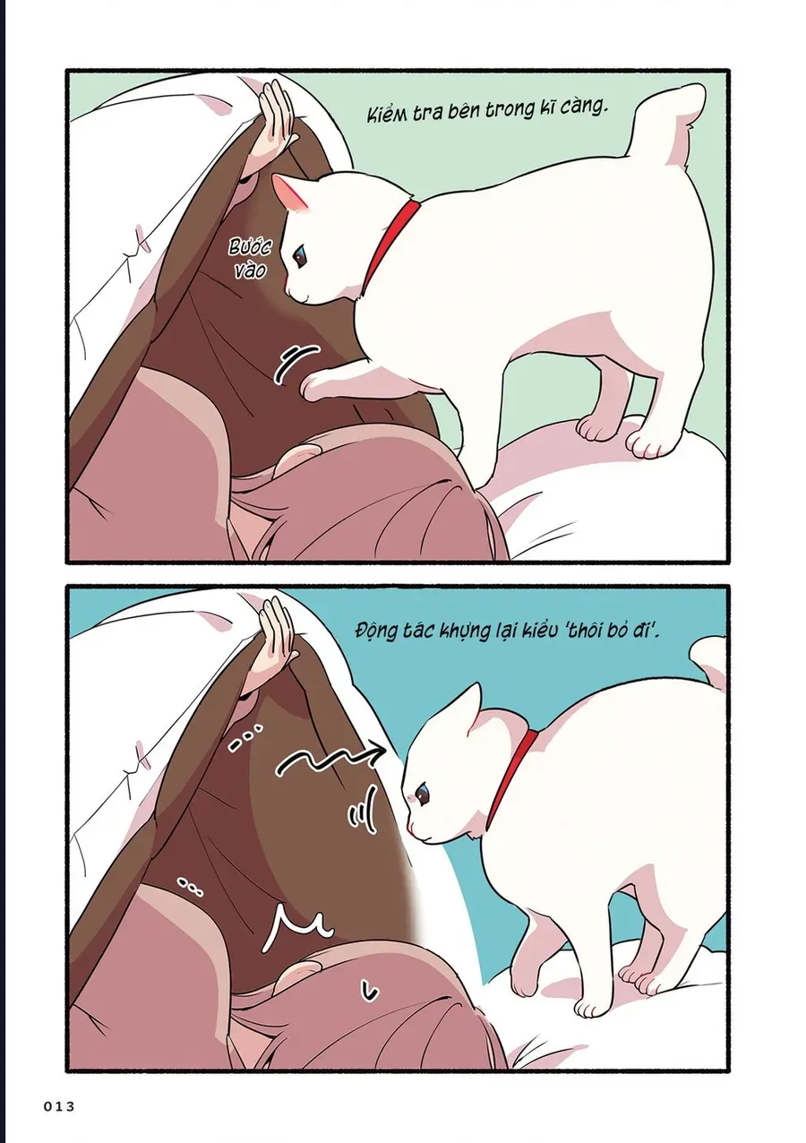 Miko, Cô Mèo Trắng Muốn Được Yêu Thương Chapter 2 - Trang 4