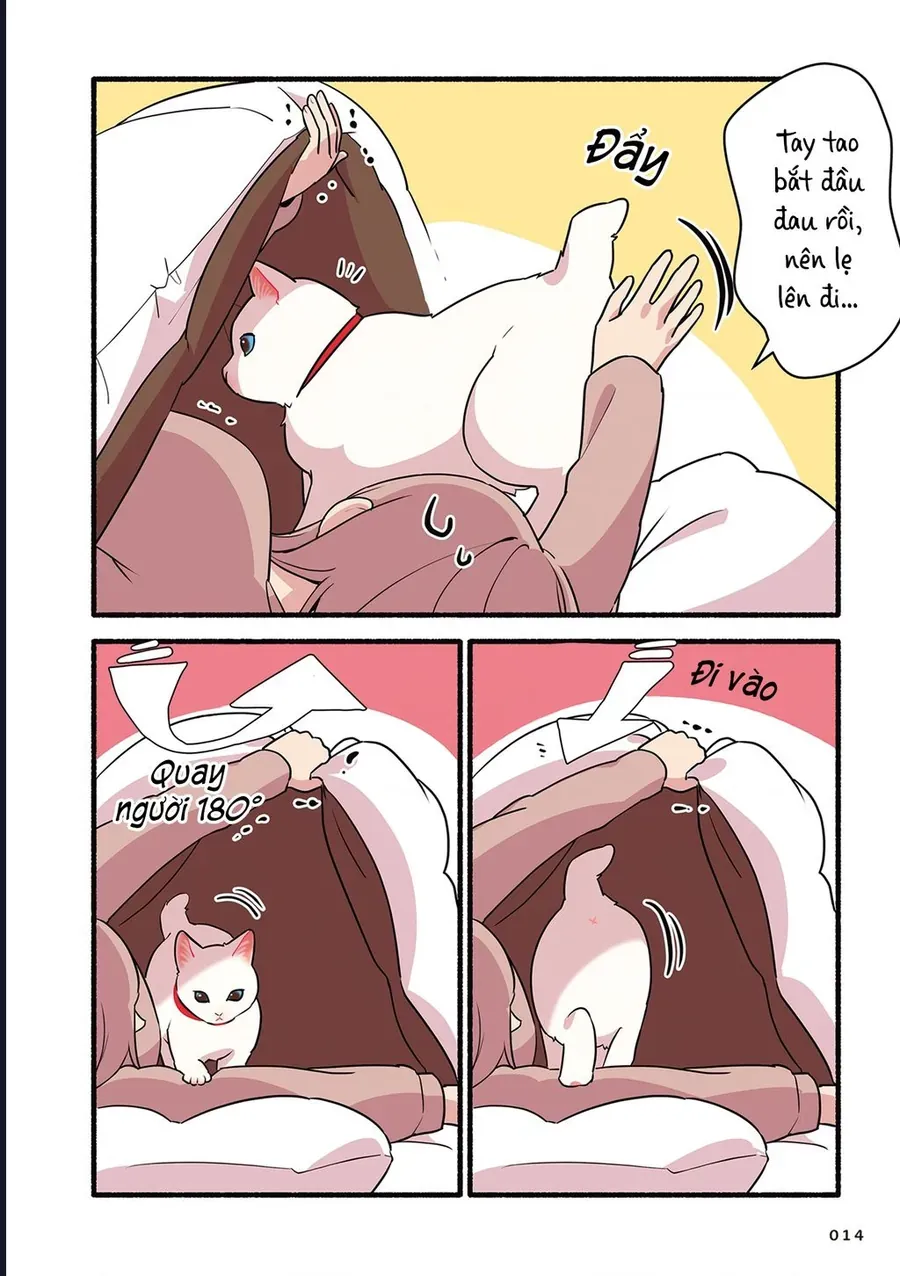 Miko, Cô Mèo Trắng Muốn Được Yêu Thương Chapter 2 - Trang 5
