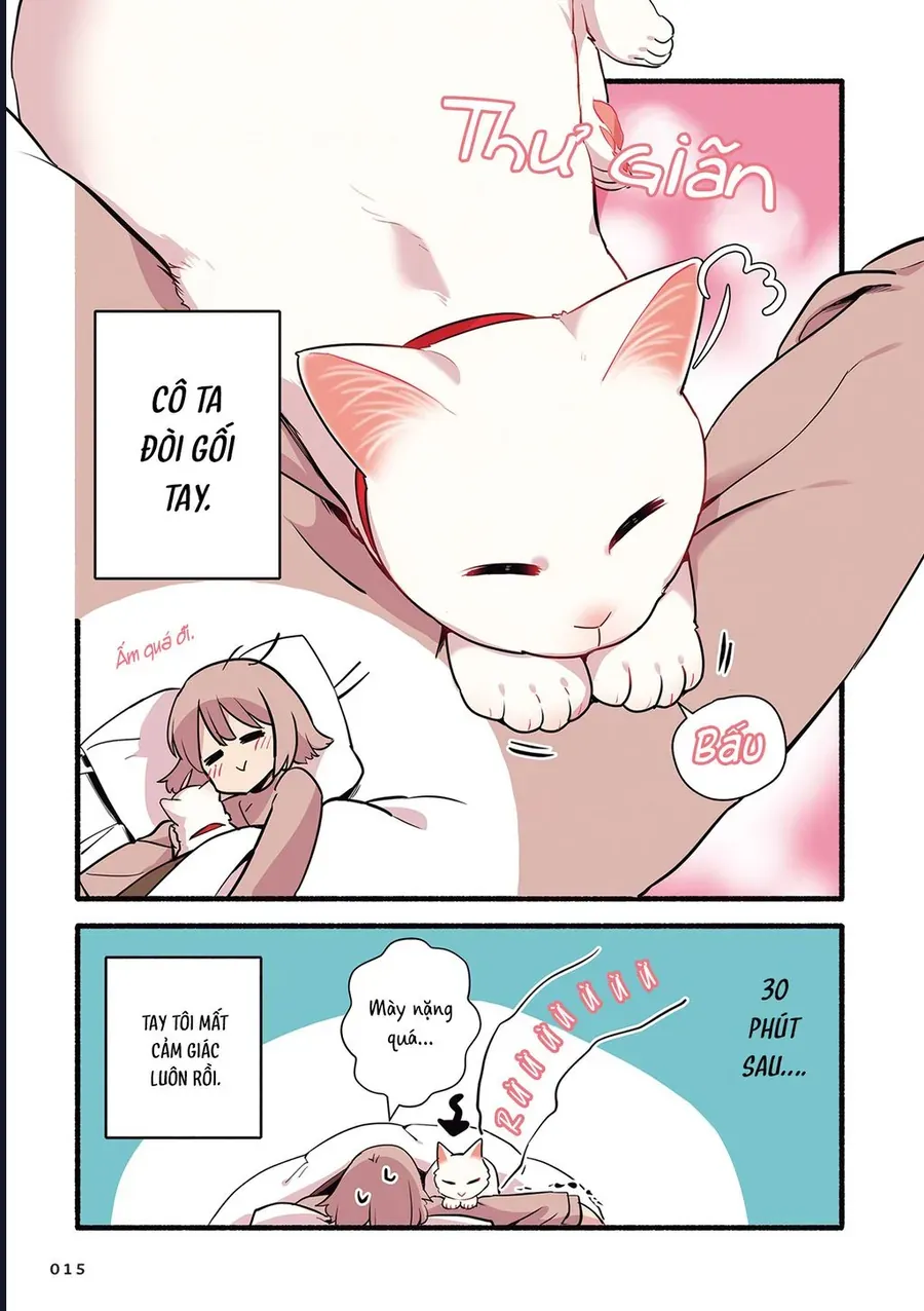 Miko, Cô Mèo Trắng Muốn Được Yêu Thương Chapter 2 - Trang 6