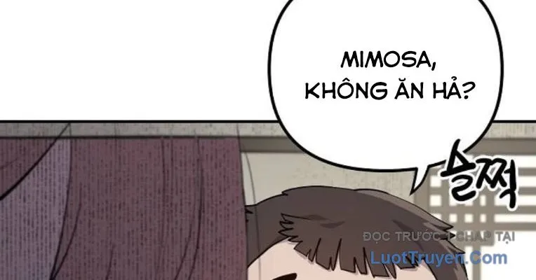 Mimosa (Cây Trinh Nữ) Chapter 4 - Trang 20