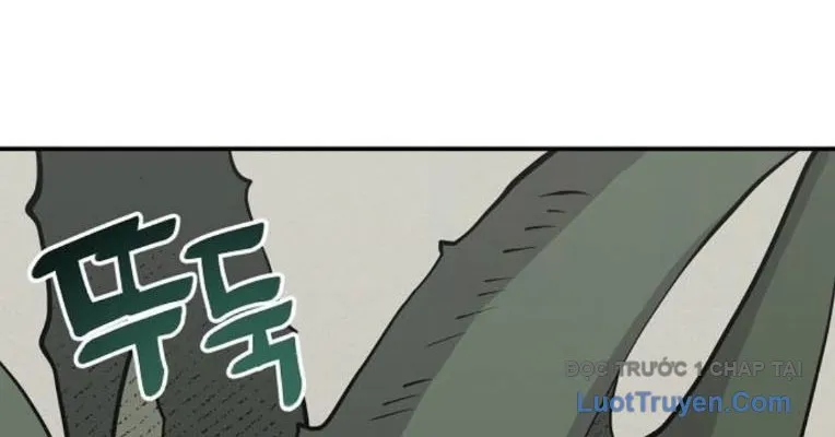 Mimosa (Cây Trinh Nữ) Chapter 6 - Trang 12