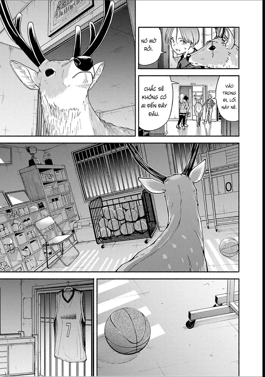 Minami Super Evolution Chapter 5 - Trang 16