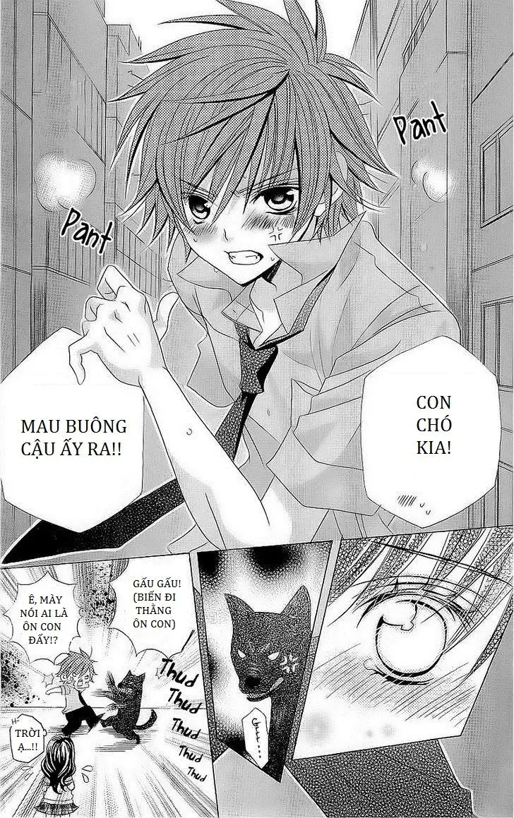 Mình Thích Cậu Đó, Suzuki Chapter 42 - Trang 16