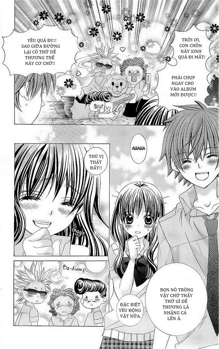 Mình Thích Cậu Đó, Suzuki Chapter 43 - Trang 5