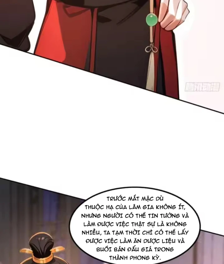 Mở Màn Đã Có Trăm Triệu Tỷ Linh Thạch, Ta Mua Đứt Cả Thế Giới Huyền Huyễn Chapter 30 - Trang 33